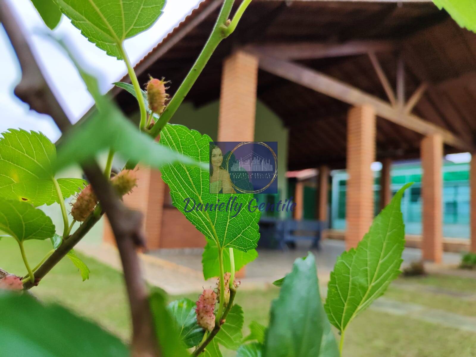 Casa à venda - Foto 43